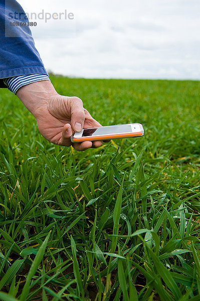 Hand eines Landwirts fotografiert Feldfrucht auf Smartphone