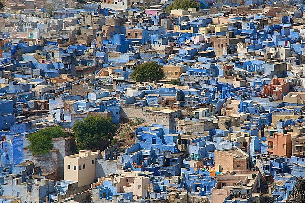 Blick auf das blaue Dorf der Brahmanen vom Mehrangarh Fort in Jodhpur  Rajasthan  Indien