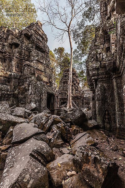 Tempelruinen von Ta Nei  Angkor-Komplex  Kambodscha