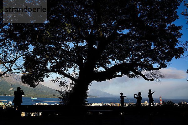 Menschensilhouette und Baum vor dem Berg Sakurajima  Japan