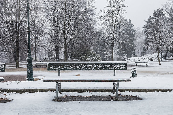 Parkbank in einem schneebedeckten Park