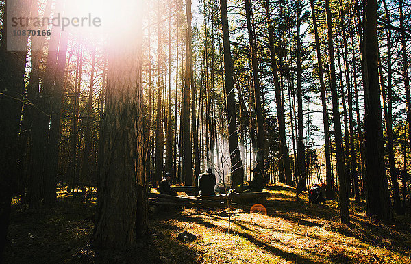 Freunde sitzen auf einem umgefallenen Baum am Lagerfeuer im Wald