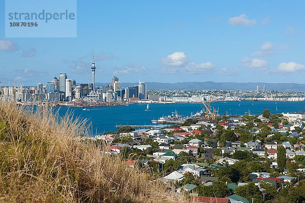 Ansicht der Stadt und des Hafens von Auckland  Nordinsel  Neuseeland