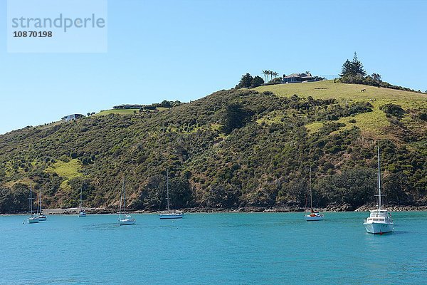 Küstenlinie Waiheke Island  Auckland  Neuseeland