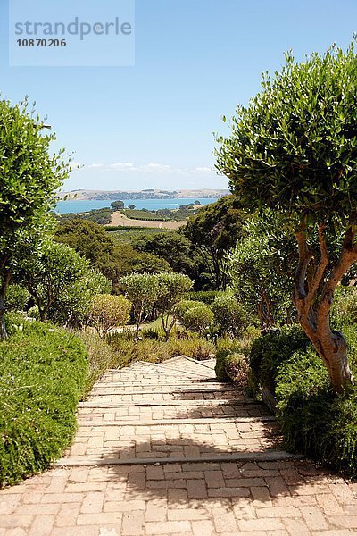 Gepflasterter Garten Waiheke Island  Auckland  Neuseeland
