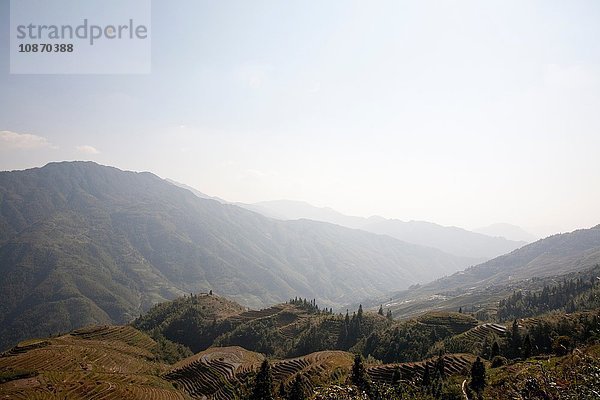 Reisterrassen  Rückgrat der Longsheng-Drachen  China  Asien