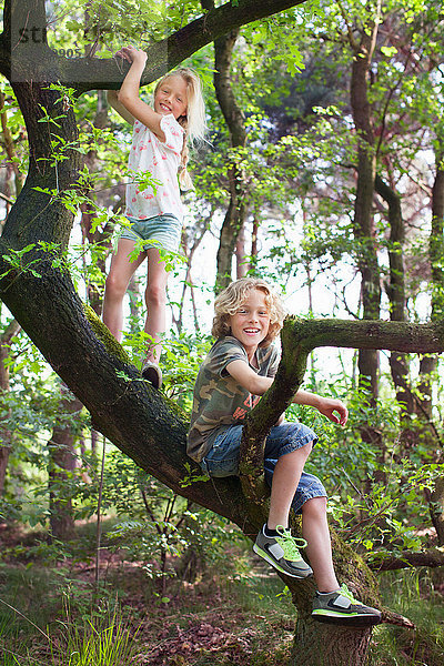 Junge und Mädchen im Baum schauen lächelnd in die Kamera