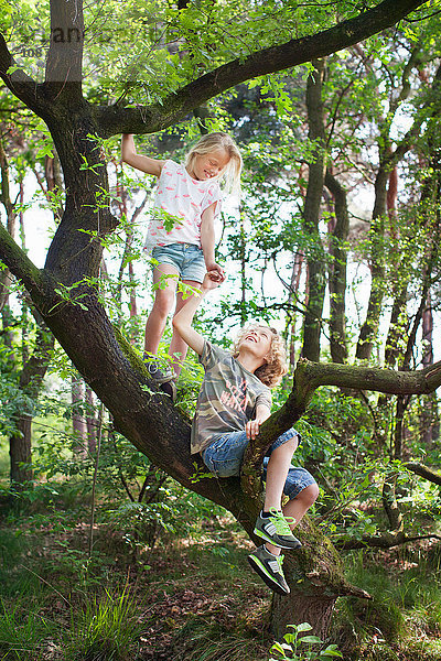Junge und Mädchen in Baum von Angesicht zu Angesicht lächelnd