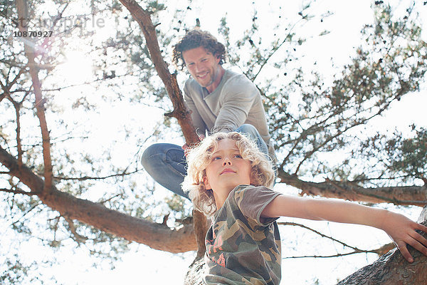 Vater und Sohn klettern auf Baum