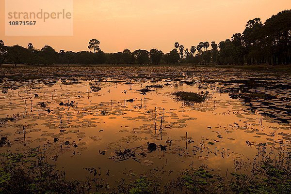 Sonnenuntergang über dem See  Angkor  Siem Reap  Kambodscha  Indochina  Asien