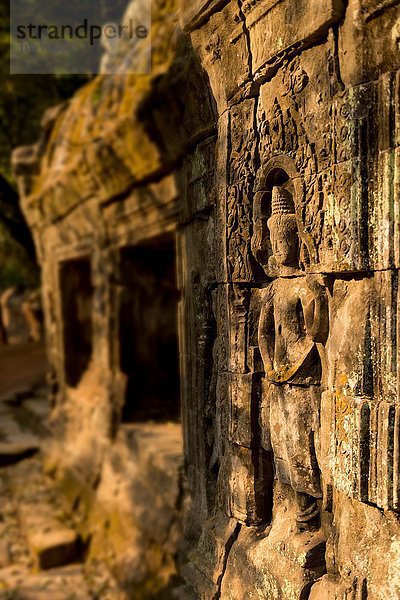Tempel von Ta Prohm  Angkor  Siem Reap  Kambodscha  Indochina  Asien