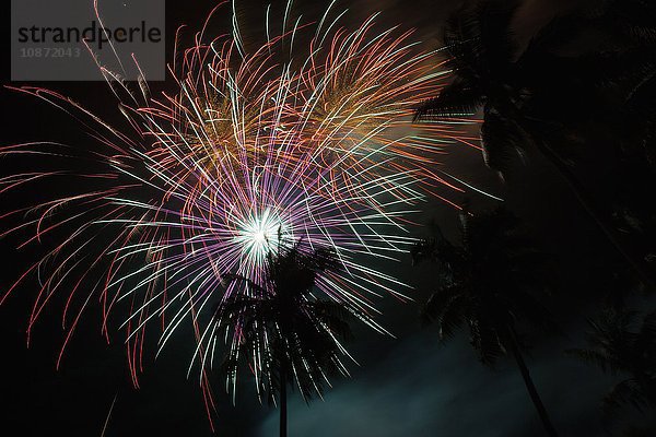 Feuerwerk und Palmensilhouetten zu Silvester  Krabi  Thailand  Südostasien