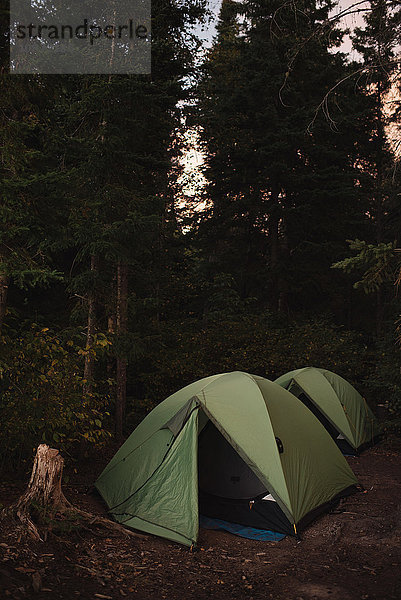 Zwei Zelte im Wald aufgestellt  Sonnenuntergang
