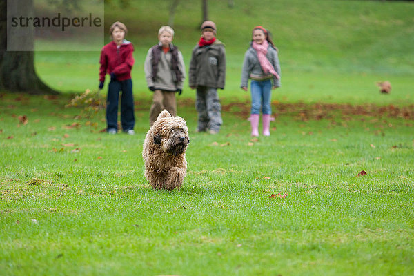 Hund rennt im Park  vier Kinder stehen im Hintergrund
