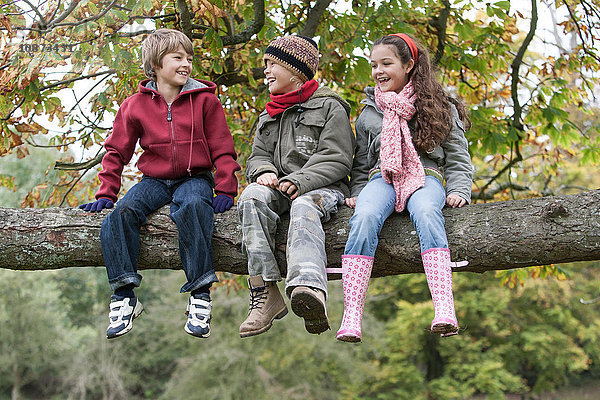 Drei Kinder sitzen lächelnd auf einem Ast