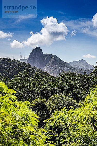 Christus der Erlöser-Statue  Corcovado  Rio de Janeiro  Brasilien