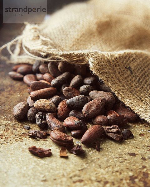 Lebensmittel  Kakaobohnen und Sackware