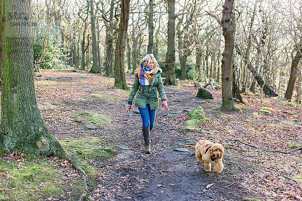 Frau geht mit ihrem Welpen im Wald spazieren