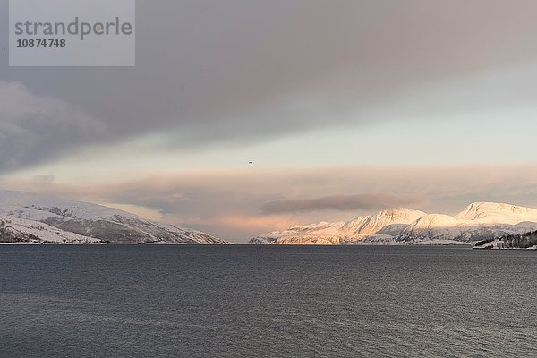 Fjord  Tromso  Norwegen