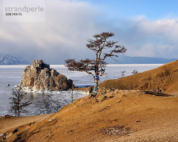 Blick auf Baum und Schamanka-Felsen am Burchan-Kap  Baikalsee  Insel Olchon  Sibirien  Russland