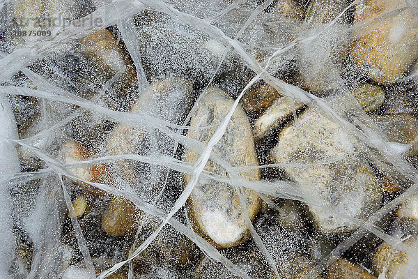 Nahaufnahme von Steinen unter dem Eis  Baikalsee  Insel Olchon  Sibirien  Russland