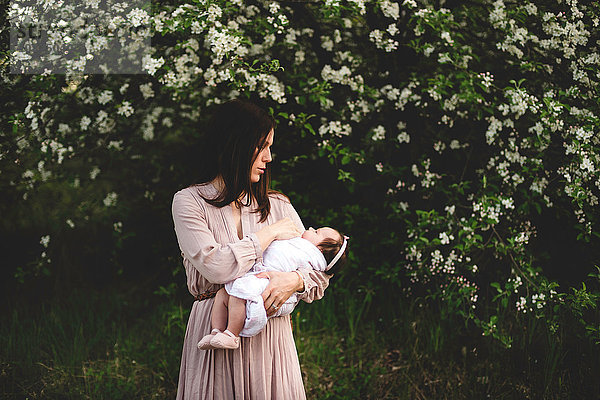 Mittelgrosse erwachsene Frau  die ihre kleine Tochter im Arm hält  am Rande einer Apfelblüte im Garten