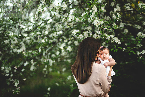 Über-Schulter-Porträt einer Frau  die ihre kleine Tochter küsst  bei einer Apfelblüte im Garten