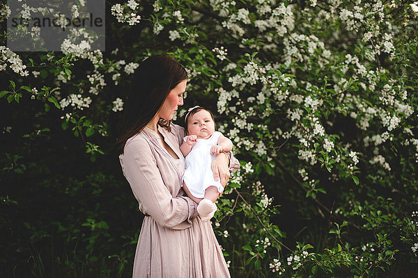 Porträt eines kleinen Mädchens im Arm der Mutter bei der Gartenapfelblüte