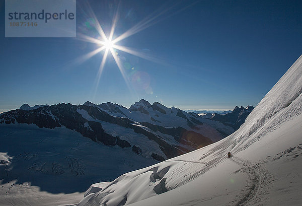 Bergsteigerteam auf einem Gletscher auf dem Weg zur Jungfrau  Alpen  Kanton Bern  Schweiz