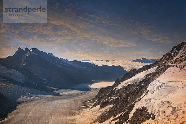 Der Blick auf den Aletschgletscher von der Spitze der Jungfrau  Alpen  Kanton Bern  Schweiz