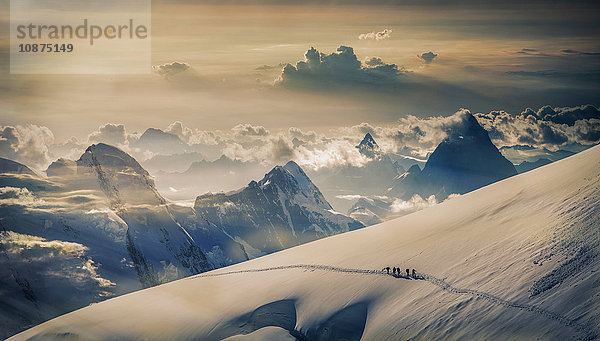 Bergsteigerteam auf einem Gletscher bei der Besteigung der Jungfrau  im Berner Oberland  Alpen  Kanton Bern  Schweiz