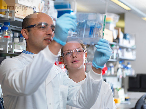 Wissenschaftler betrachten ein Protein-Gel  Jenner-Institut  Universität Oxford