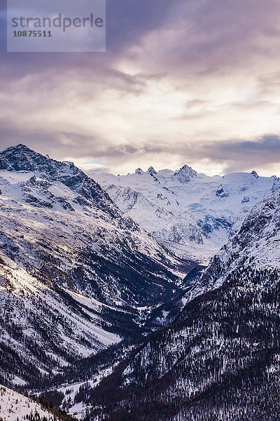 Winterlandschaft  Engadin  Schweiz