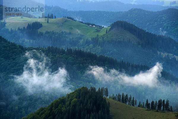 Dorf Dzembronya  Karpaten  Region Iwano-Frankowsk  Ukraine