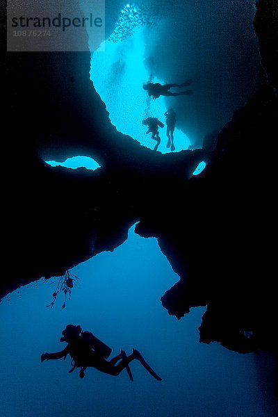 Taucher beim Schwimmen in Höhlensystem  Moalboal  Cebu  Philippinen
