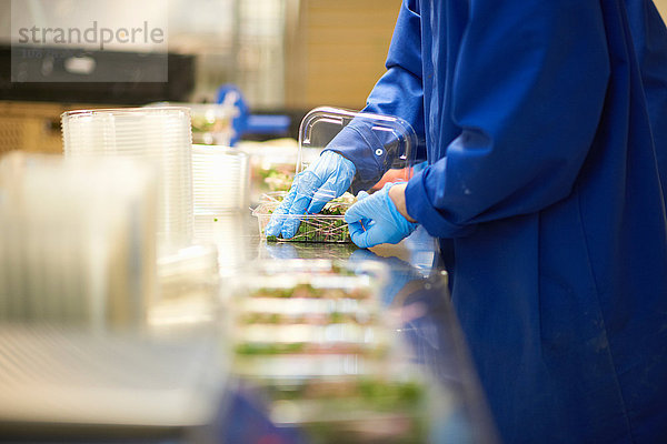 Geschnittene Seitenansicht eines Arbeiters an einer Produktionslinie  der Gemüse in Gipsbehälter verpackt