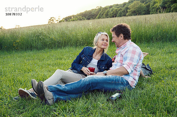 Erwachsenes Paar auf Gras beim Picknick