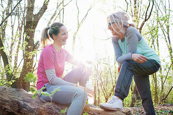 Frauen im Wald sitzen auf einem umgefallenen Baum und lächeln