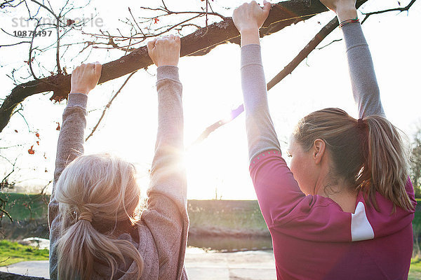 Rückansicht von Frauen  die am Ast des Baumes Klimmzüge machen