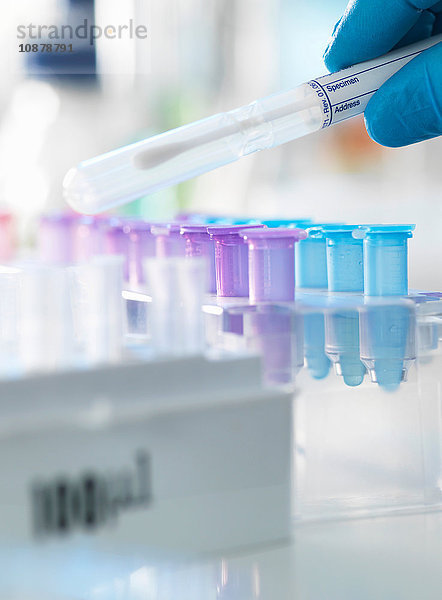 Wissenschaftlerin  die einen DNA-Abstrich für die Analyse in einem Labor für forensische oder Vaterschaftstests vorbereitet