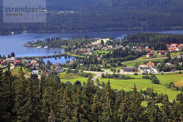 Blick über den Schluchsee  Schwarzwald  Baden-Württemberg  Deutschland  Europa