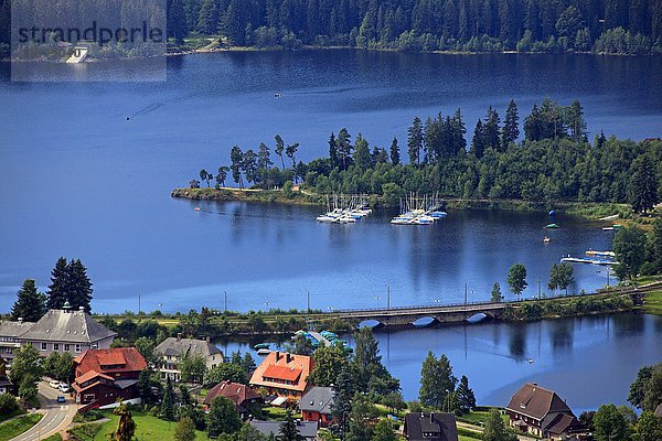 Blick auf den Schluchsee  Schwarzwald  Baden-Württemberg  Deutschland  Europa