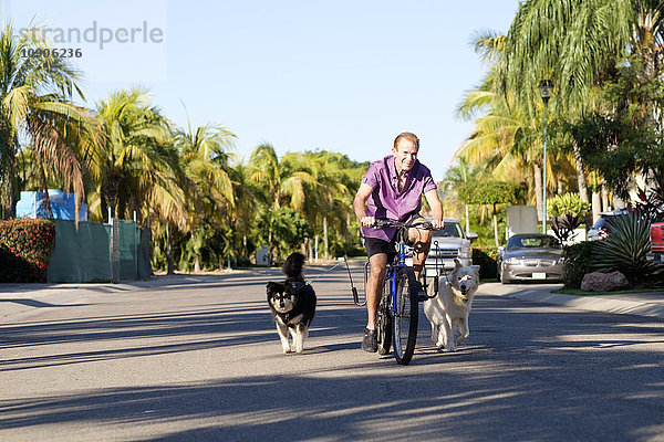 Senior auf dem Fahrrad mit zwei Hunden