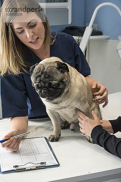 Veterinarian talking with owner of a dog in a veterinary clinic