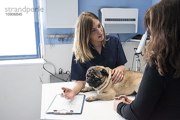 Veterinarian talking with owner of a dog in a veterinary clinic