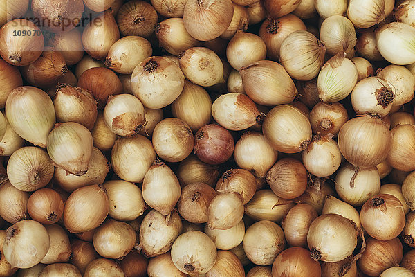 Zwiebeln auf dem Bauernmarkt