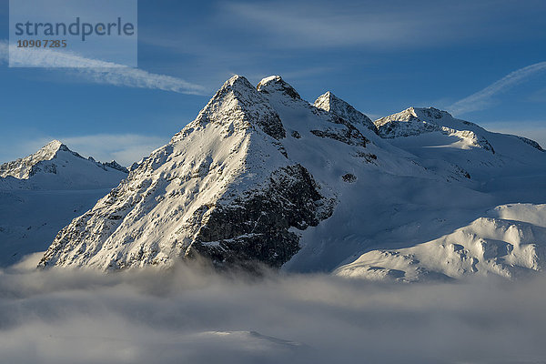 Italien  Adamello  Cima Presanella