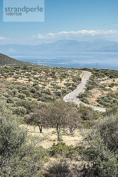 Greece  Panormos  road  olive plantations and the sea