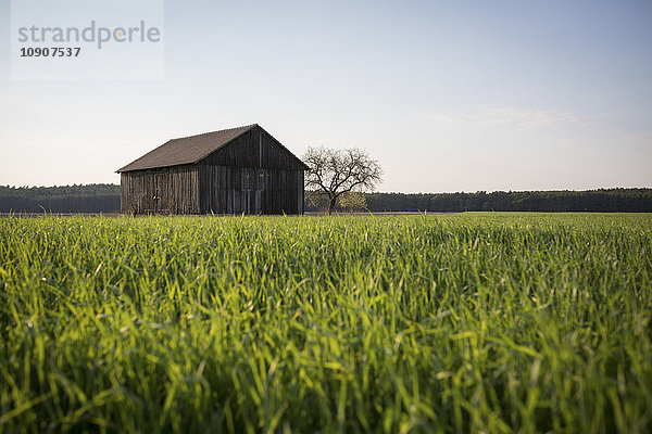 Deutschland  Blick auf Scheune mit Feld im Vordergrund