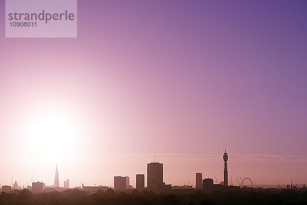 UK  London  skyline with St Paul's Cathedral  The Shard  BT Tower and London Eye in morning light